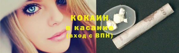 крисы Вязьма
