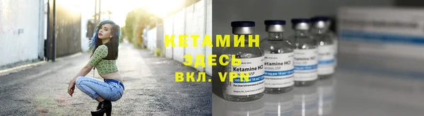 крисы Вязьма