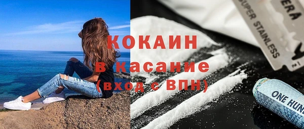 крисы Вязьма